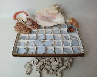 9mJIcy0xAF4 L2U6n vj fq