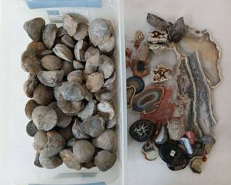 vIo26ZIrYlkLa fypga KiN