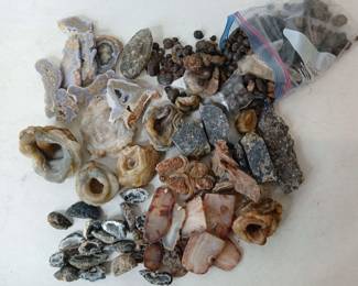 ujTTl qfZHuvDL07i69TZkYi