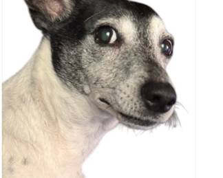 oh boy, here we go again!!  