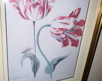 Tulips Stupell Industries print