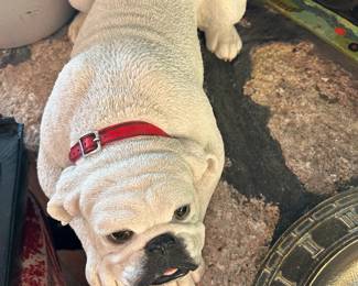 UGA dog.  From UGA.  Numbered and signed.