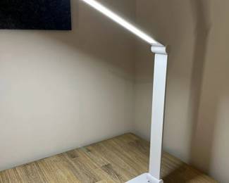216 LED Desk Lamp