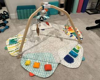 216 Lovevery The Play Gym