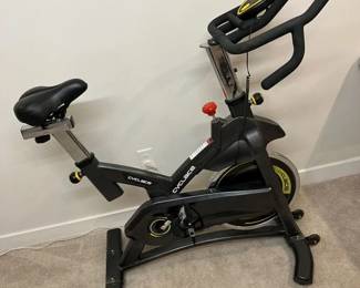 216 Cyclace Exercise Bike