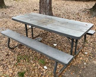 Picnic Table