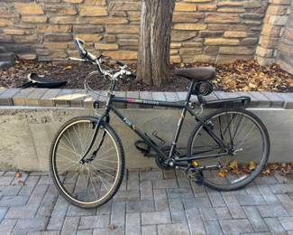 Fuji Sand Blaster Mountain Bike w Rear Cargo Rack Lock  Adult Size, Black Frame