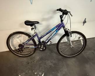 Schwinn Ranger FS Girls Mountain Bike