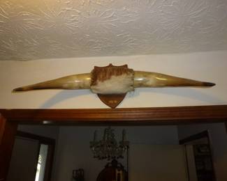 VINTAGE MOUNTED LONGHORN STEER HORNS
