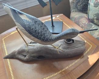 C W WATERFIELD shorebird