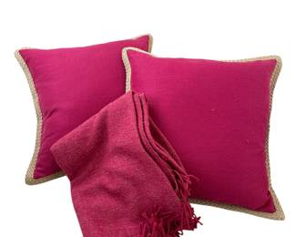 Pottery Barn pillow & West Elm throw