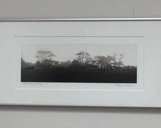 Standing Sheep Black And White PhotoSigned