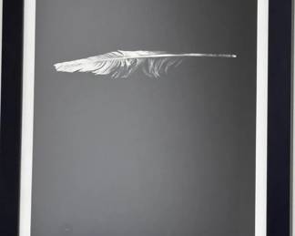 Feather 2 by Artist HKirkystuck