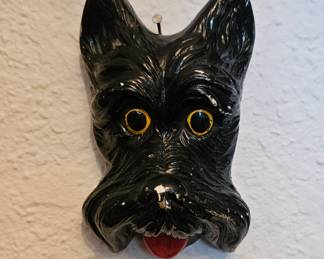 Oh My! Were not in Kansas anymore!