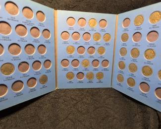 Buffalo Nickle 24 Coins