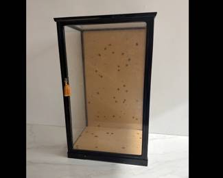 Lot 169 Vintage Glass Display Case