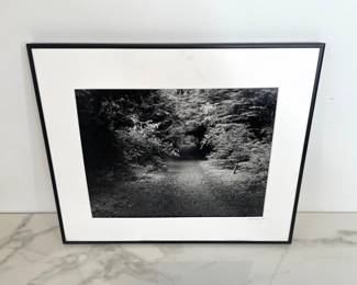 Lot 145 Robert Demar Signed Trail to Jakles Lagoon Gelatin Silver Photo Print Art AS IS