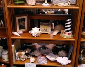 Beach lovers beware!