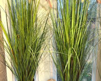 Dune grass in white pots