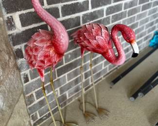 Flamingo’s!
