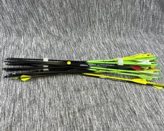 LOT OF ARROWS