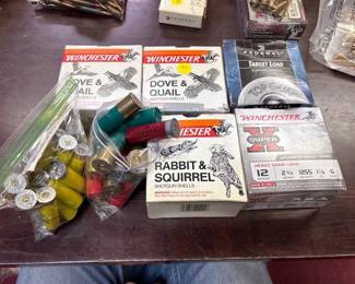 LOT OF VARIOUS 12 GA SHELLS