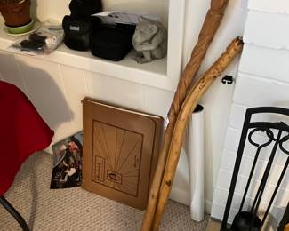 Walking Sticks, Cameras