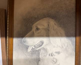 Pencil/charcoal drawing golden retriever by Jim Michaelsen