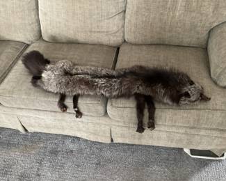 Black Silver Fox Stole