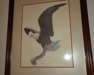 American Bald Eagle by Tom Dunnington