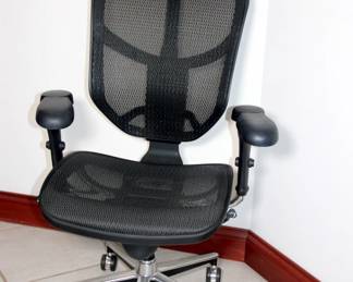 Ergonomic Desk Chair

