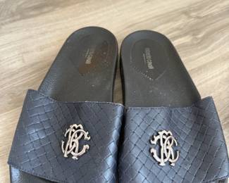 Roberto Cavallui Slides