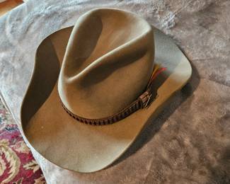 Stetson 3x Beaver Felt Cowboy Hat (Sage)