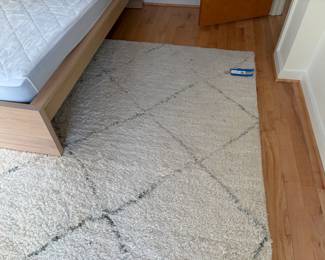 now $100.  was $690 Plush Moroccan Crate and Barrel wool rug 9' x 12'.