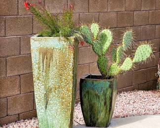 Large green landscape pottery and plants