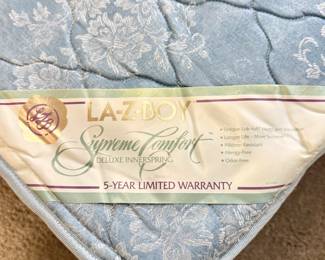 La-Z-Boy pull out sofa