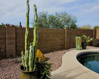 Landscape pottery and cactus