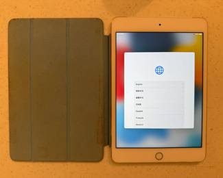 iPad Mini 4. Wiped, reset to factory, ready to use…