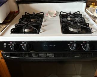 Spectra gas stove 