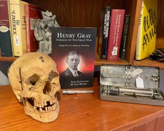 Human Skull used for Medical educational purposes, spring hinges & hooks applied. 