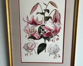 Beautifully framed artwork