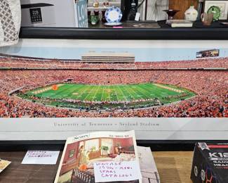FRAMED NEYLAND STADIUM TENNESSEE PICTURE