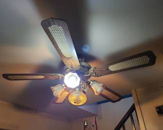 ceiliing fan - must remove