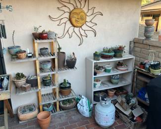 Can you tell we loved cactus and succulents?