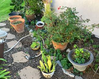 If you like outdoor gardens, this is your ticket!