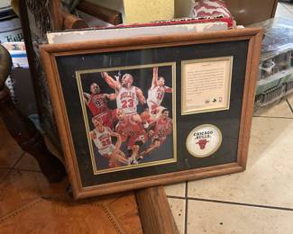 Chicago bulls Michael Jordan 