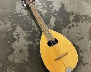 Vintage Style Mandolin 8 String Acoustic Teardrop Body Wood Back Folk Bluegrass Instrument
