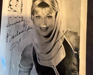 TV SHOW:  I DREAM OH JENNIE  1960’s.                                 BARBARA EDEN