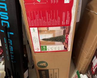 One of many christmas trees 