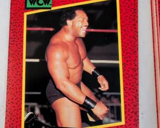 Over 400 WCW 1991 cards